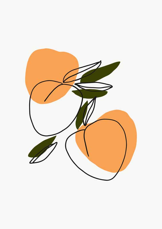 xplay骑兵营社保片版破解版